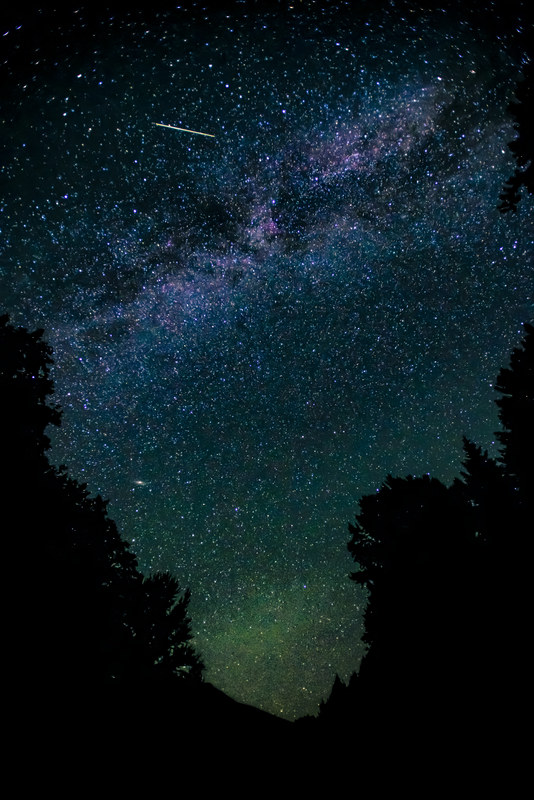 Milky Way with shooting star framed by tree silhouettes